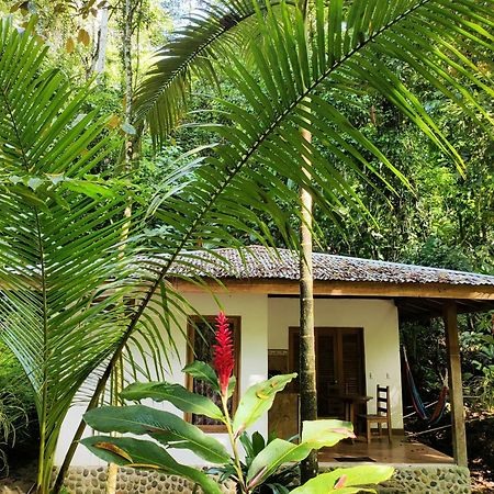 Finca Ardilla Jungle Lodge Cocles Exterior photo