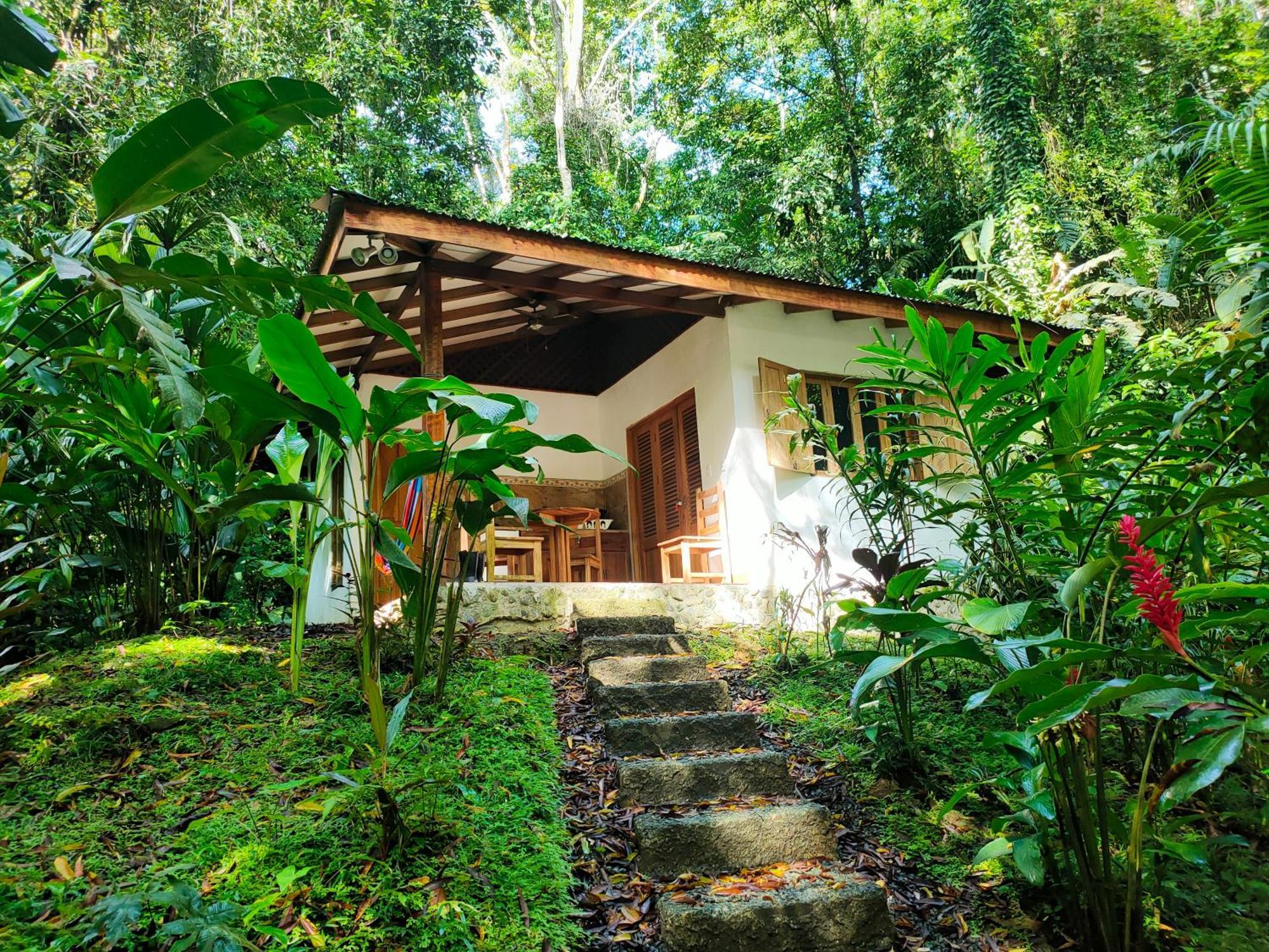 Finca Ardilla Jungle Lodge Cocles Exterior photo