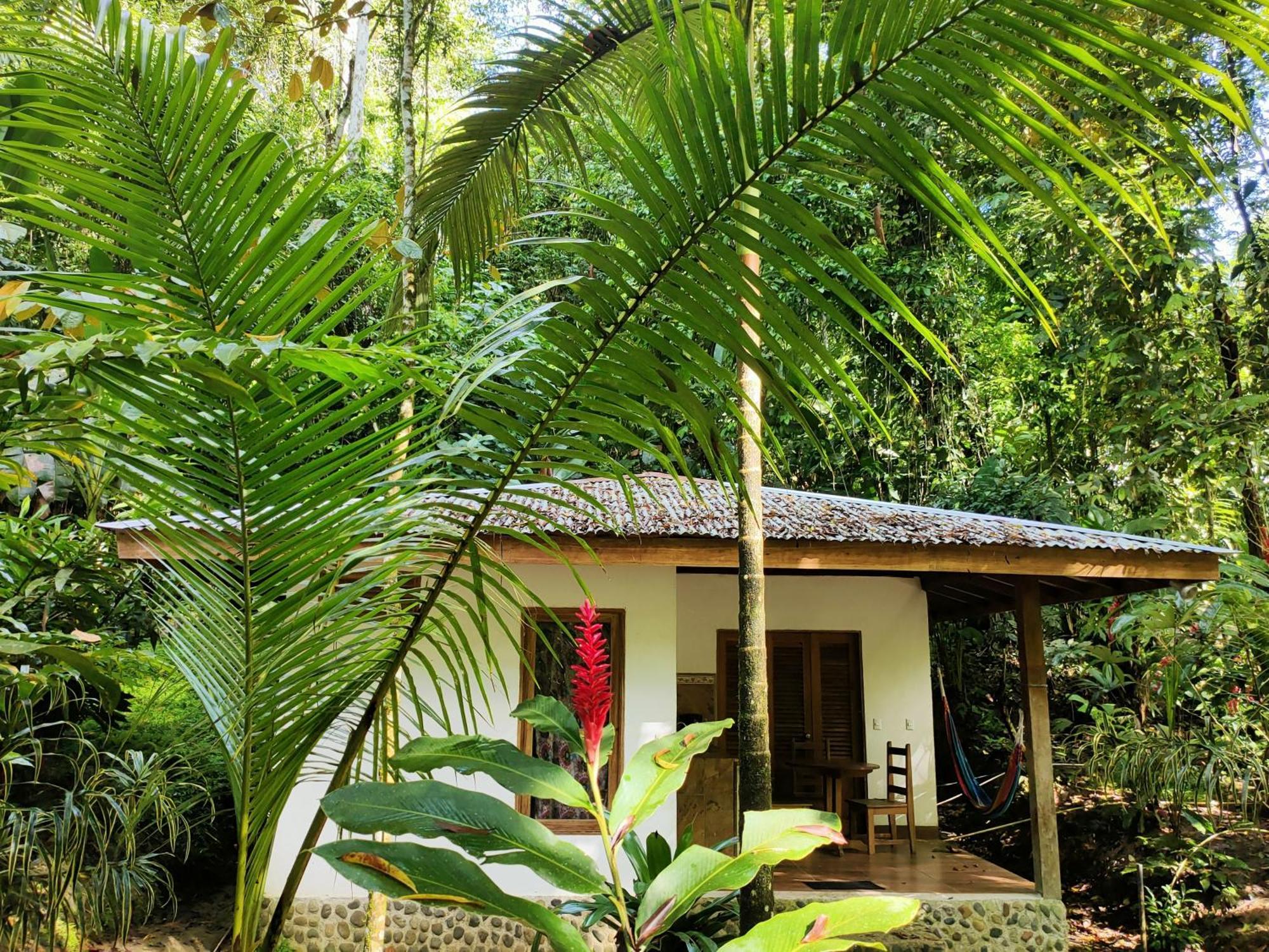 Finca Ardilla Jungle Lodge Cocles Exterior photo